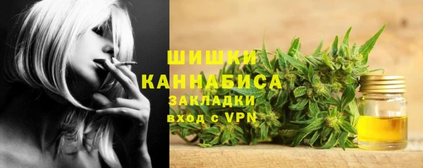 стаф Богородицк