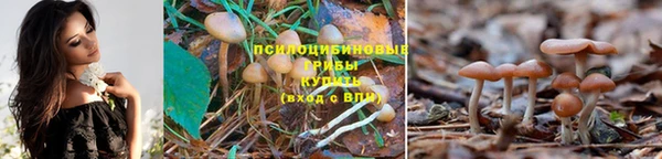 MDMA Premium VHQ Богданович