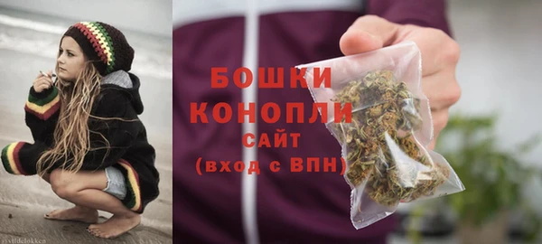 стаф Богородицк
