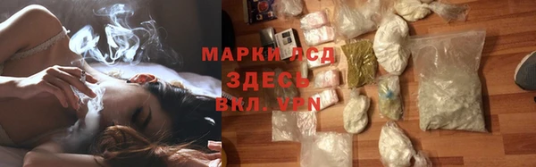 стаф Богородицк