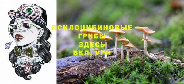стаф Богородицк