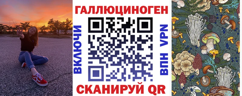 где можно купить наркотик  Новокузнецк  Галлюциногенные грибы MAGIC MUSHROOMS 